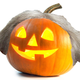 Illustration for article titled What Would Happen If We Put Lincoln Chafees Hair On Different Autumnal Objects?